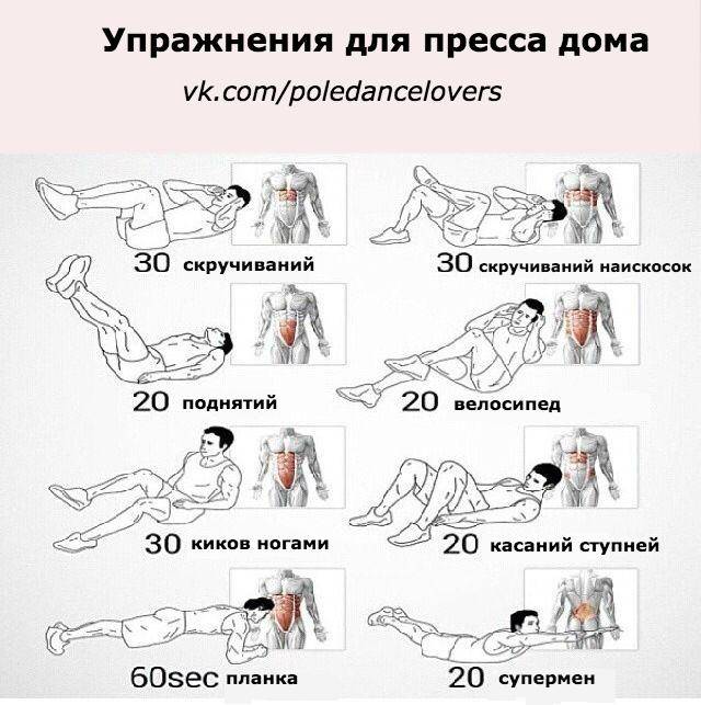 Рельефный живот у девушек: самые эффективные упражнения для пресса - tony.ru