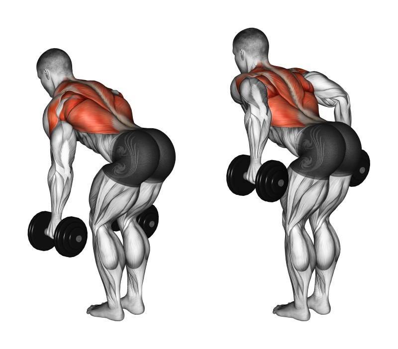 Тяга штанги к поясу в наклоне - тренировка мышц спины