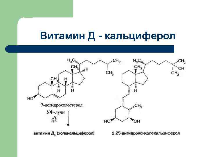 Чем отличается витамин d2 от d3: в чем резница между холекальциферолом и эргокальциферолом