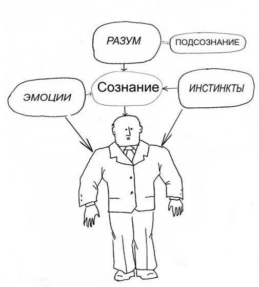 Инстинкт - что это такое, примеры инстинктов человека