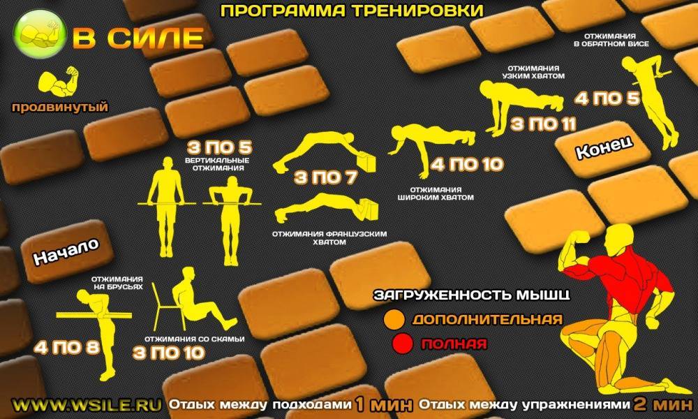 5 самых эффективных упражнений для тренировок дома и на улице