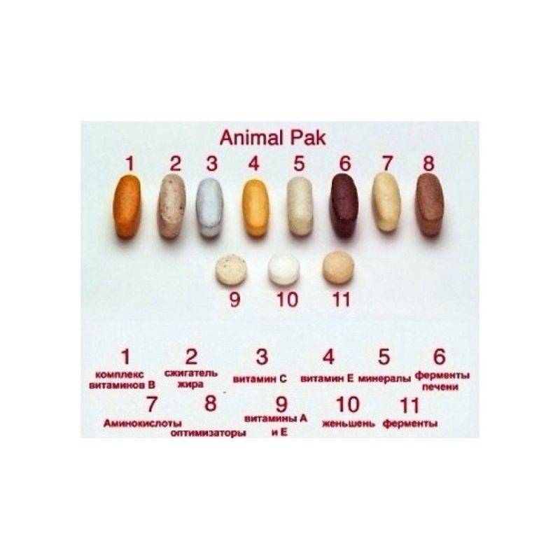 Animal pak от universal nutrition: отзывы, состав и как принимать