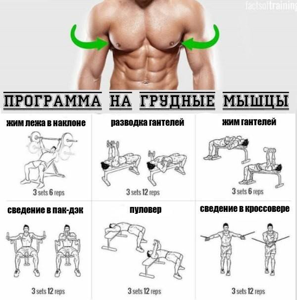 Программа тренировки грудных мышц