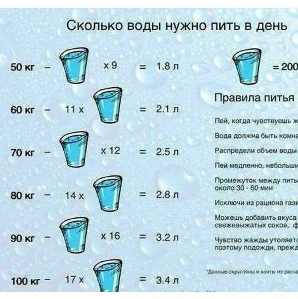 Сколько нужно пить воды в день летом и на отпуске в жару