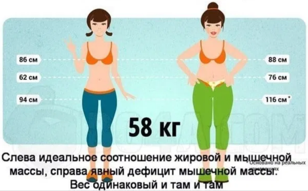 Почему объемы уходят, а вес стоит на месте: диеты и спорт при плато - allslim.ru