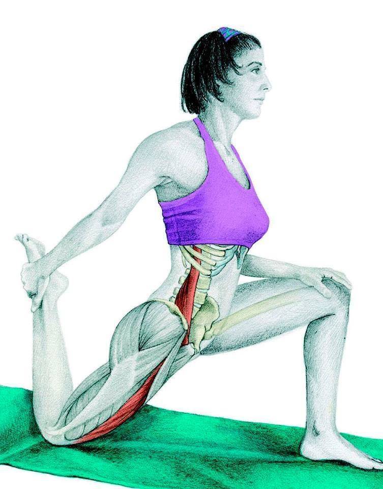 Растяжение мышц передней поверхности бедра: упражнения и позы йоги