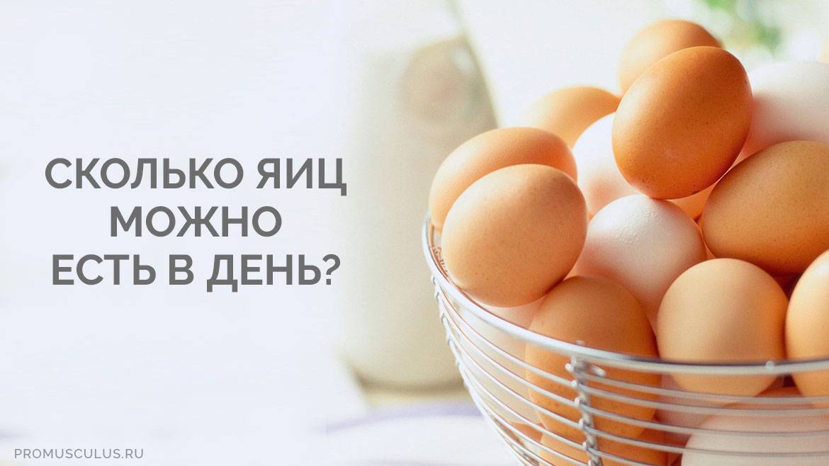 Яйца в бодибилдинге. польза и вред яиц