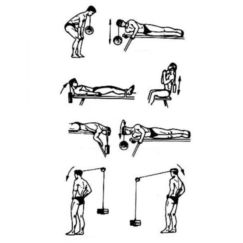 Упражнения для шеи. как накачать мышцы шеи.