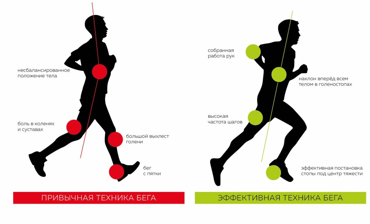 Как начать бегать. бег для новичков. упражнения для укрепления коленей  :: polismed.com
