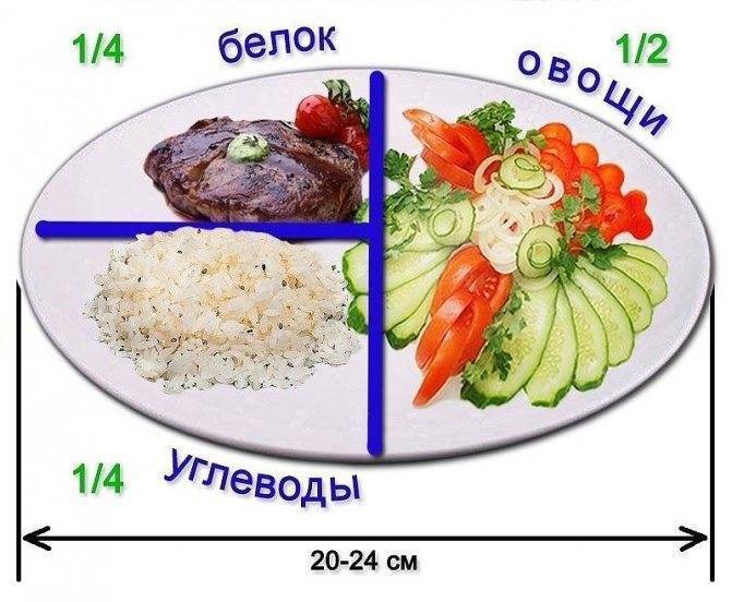 Дробное питание для похудения: меню, каким должен быть размер порции