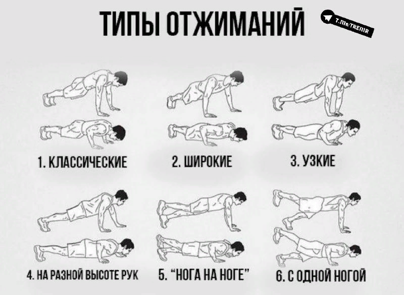 Отжимания от пола: анатомия упражнения, основные разновидности, какие мышцы качаются | rulebody.ru — правила тела