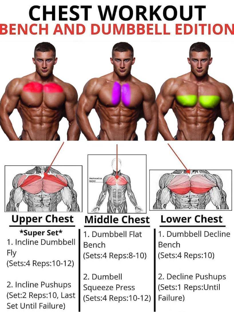 Как увеличить объем мышц груди - wikihow