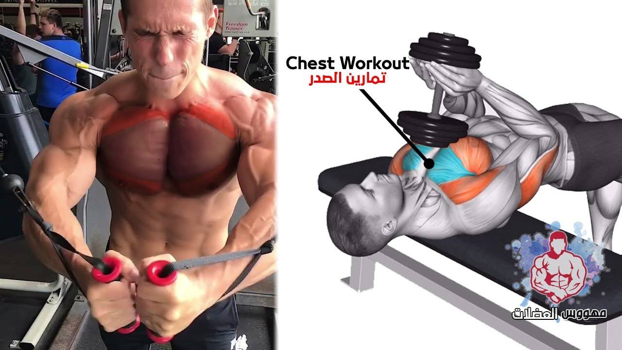 5 лучших программ тренировки грудных мышц
