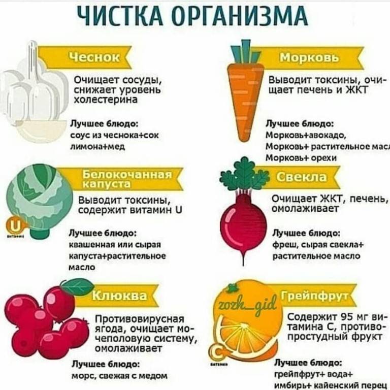 Правильное очищение организма от шлаков, токсинов, паразитов в домашних условиях | maximbuvalin.ru