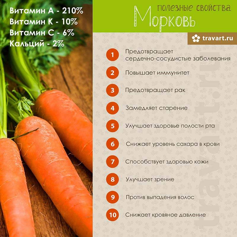 Морковь: состав и полезные свойства, применение в медицине, косметологии, противопоказания и вред овоща