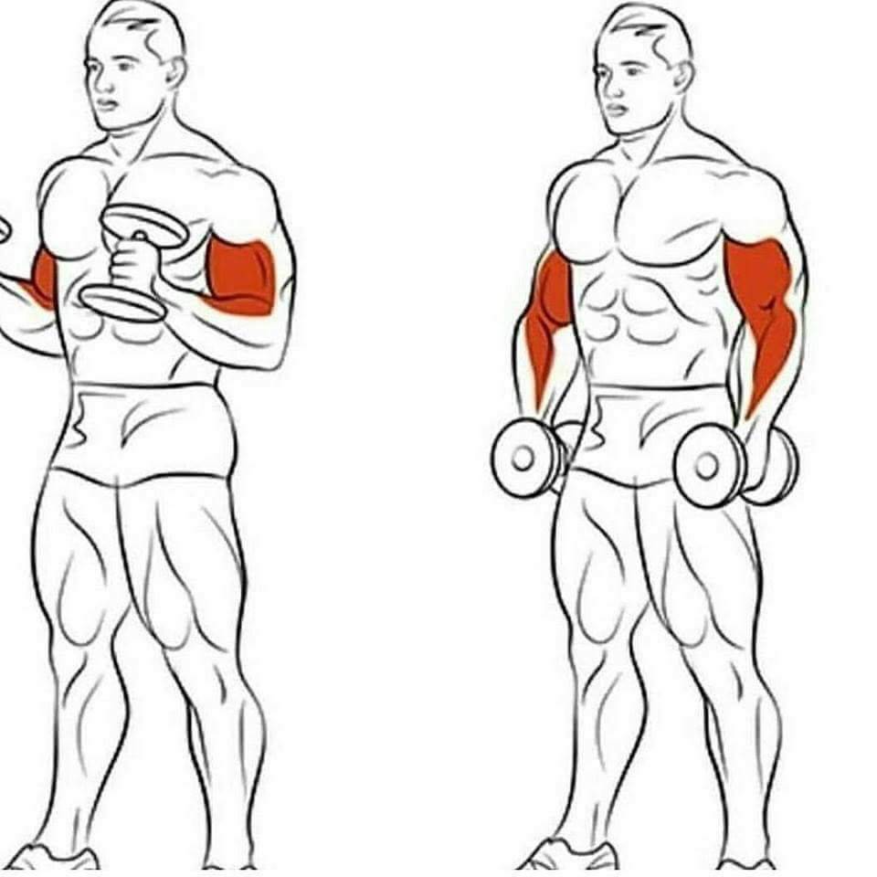 Как накачать мышцы в домашних условиях - wikihow