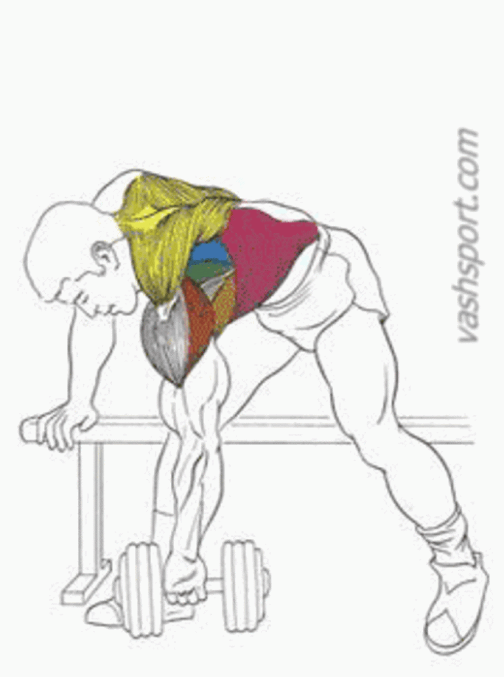 Подборка лучших упражнения на спину для мужчин - базовые и вспомогательные комплексы, для широкой спины (фото + видео инструкция)