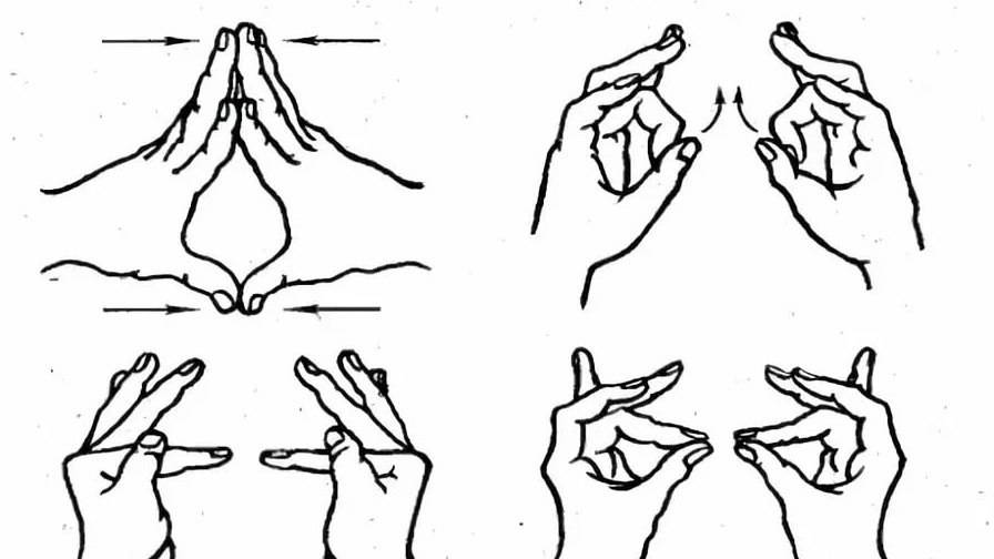 Как накачать руки: теория, упражнения для новичков и любителей