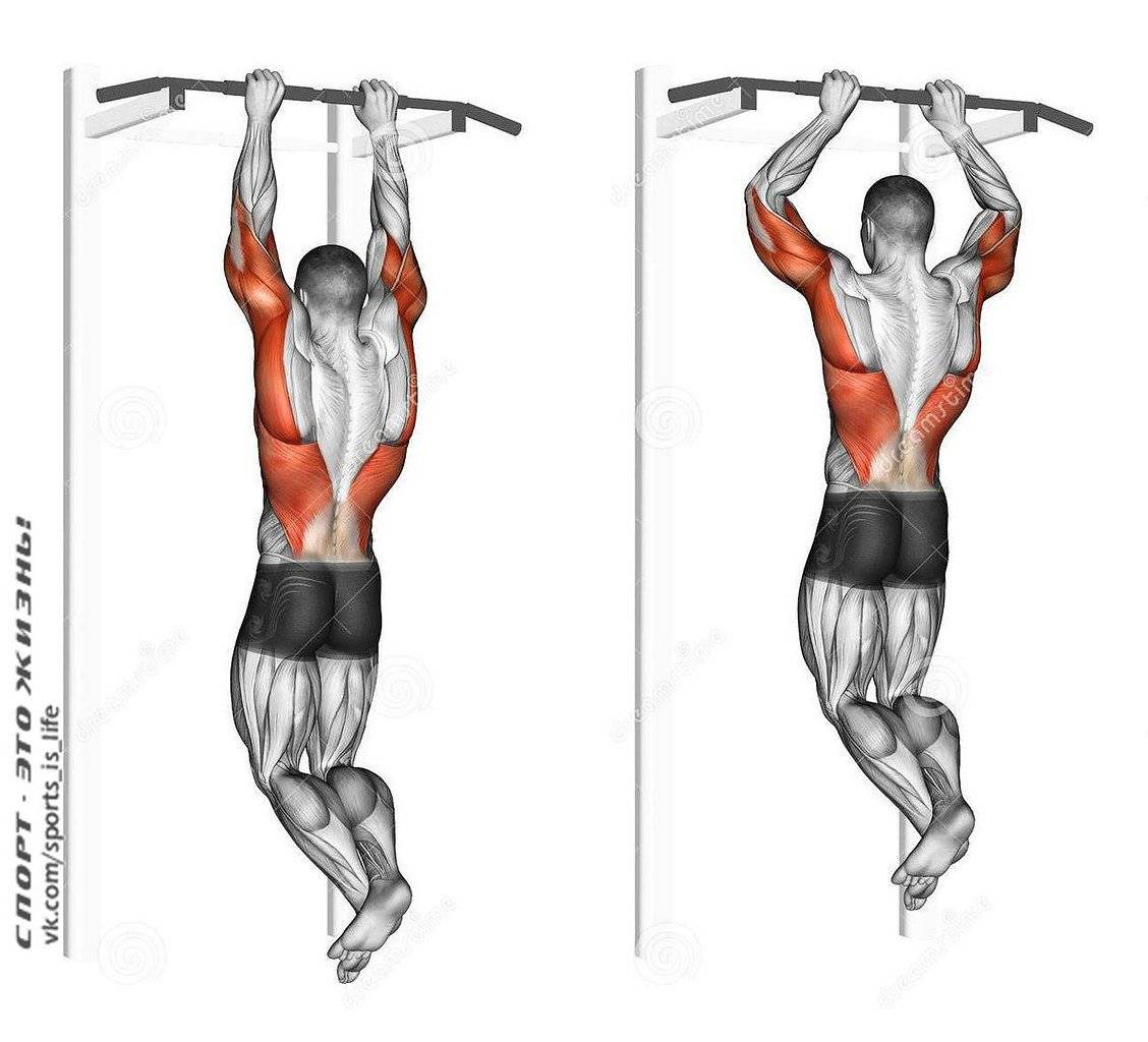 Развитие мышц спины: упражнения на турнике помогут накачать спину