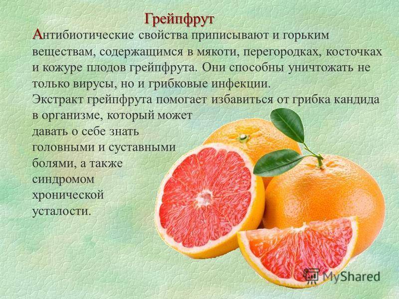 Грейпфрут - калорийность, польза и вред, полезные свойства