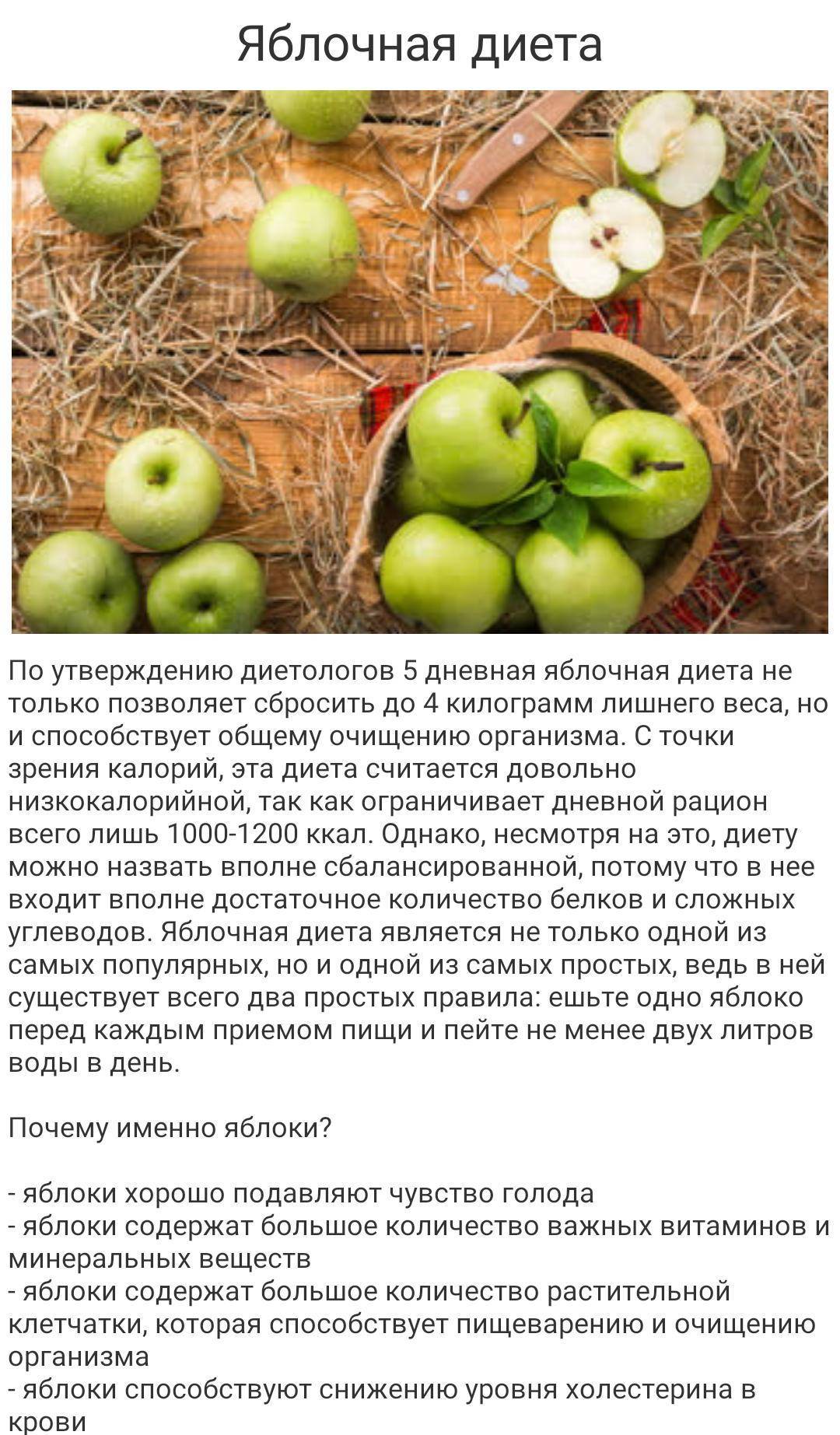 Яблочная диета для похудения на 10 кг за неделю: можно ли похудеть на яблоках и воде