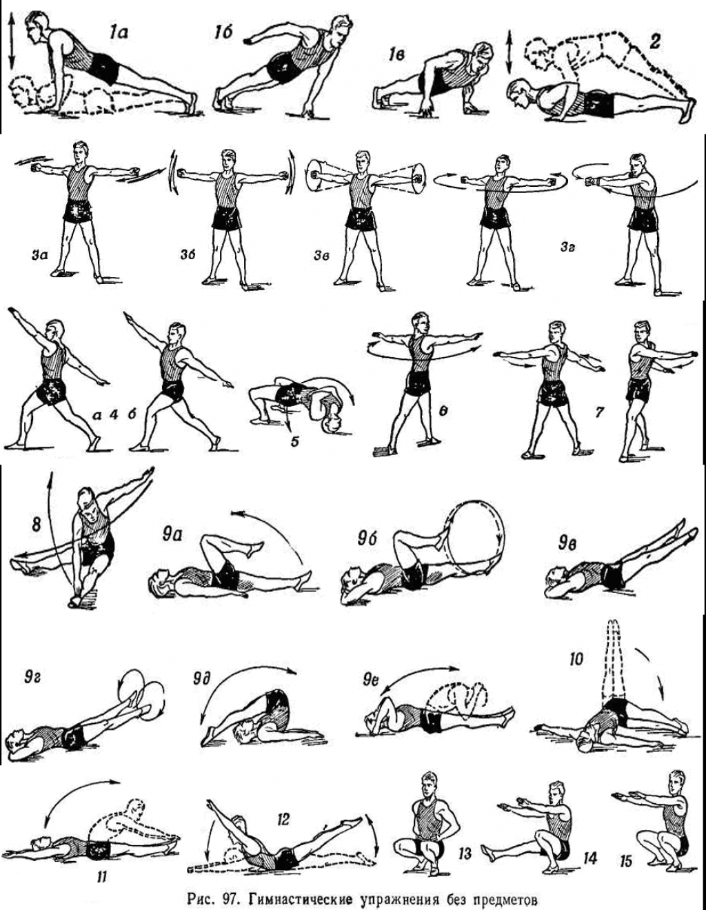 Упражнения для развития силы мышц ног - фитнес-клуб мультиспорт
