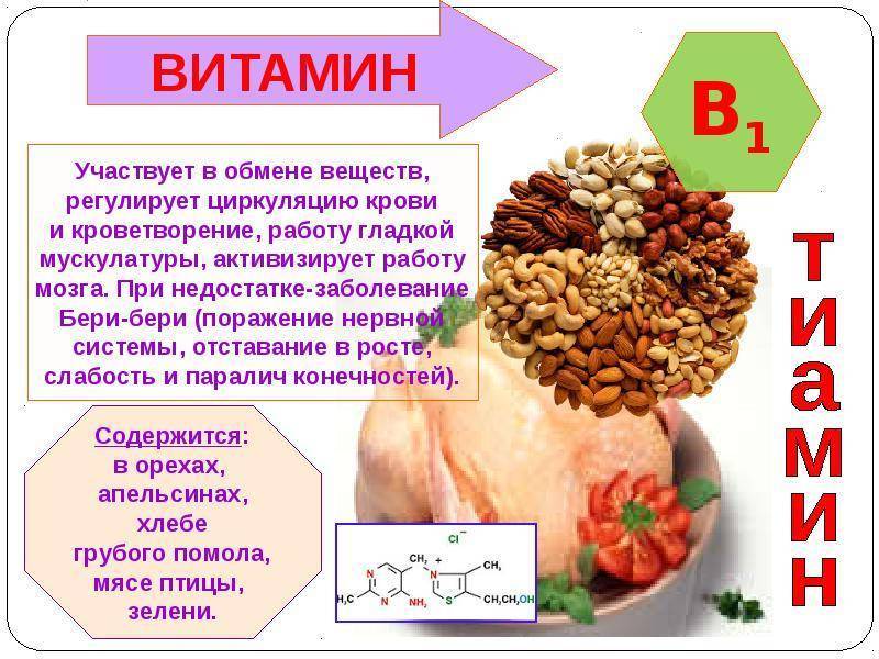 Чем полезны витамины группы b, за что отвечают, свойства и действие на организме человека