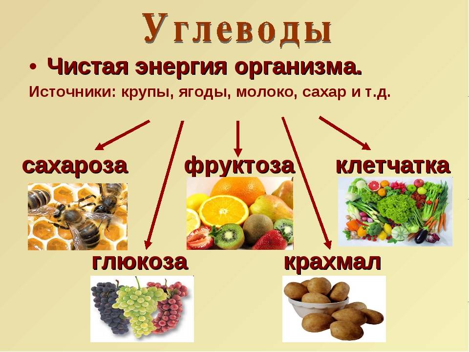 Изолейцин в продуктах питания (таблица)