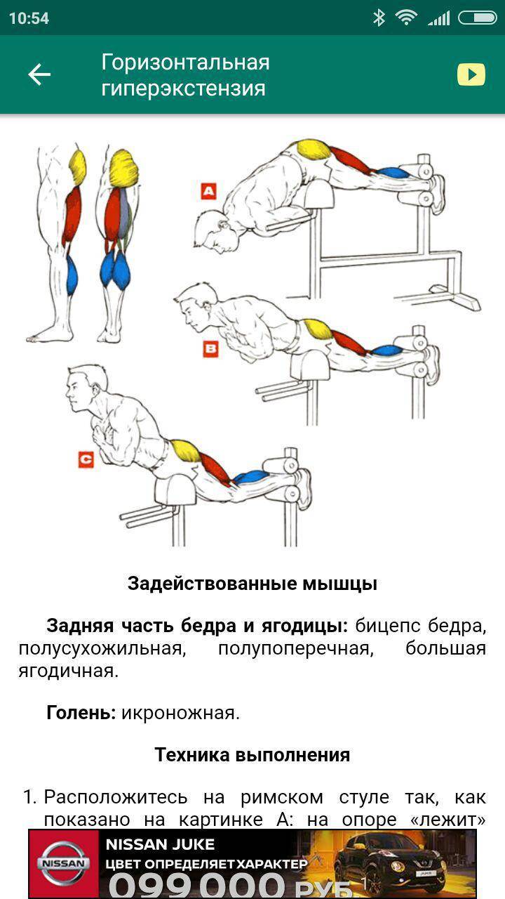 Гиперэкстензия: техника выполнения упражнения дома без тренажера на полу и в зале - какие мышцы работают и чем можно заменить для спины