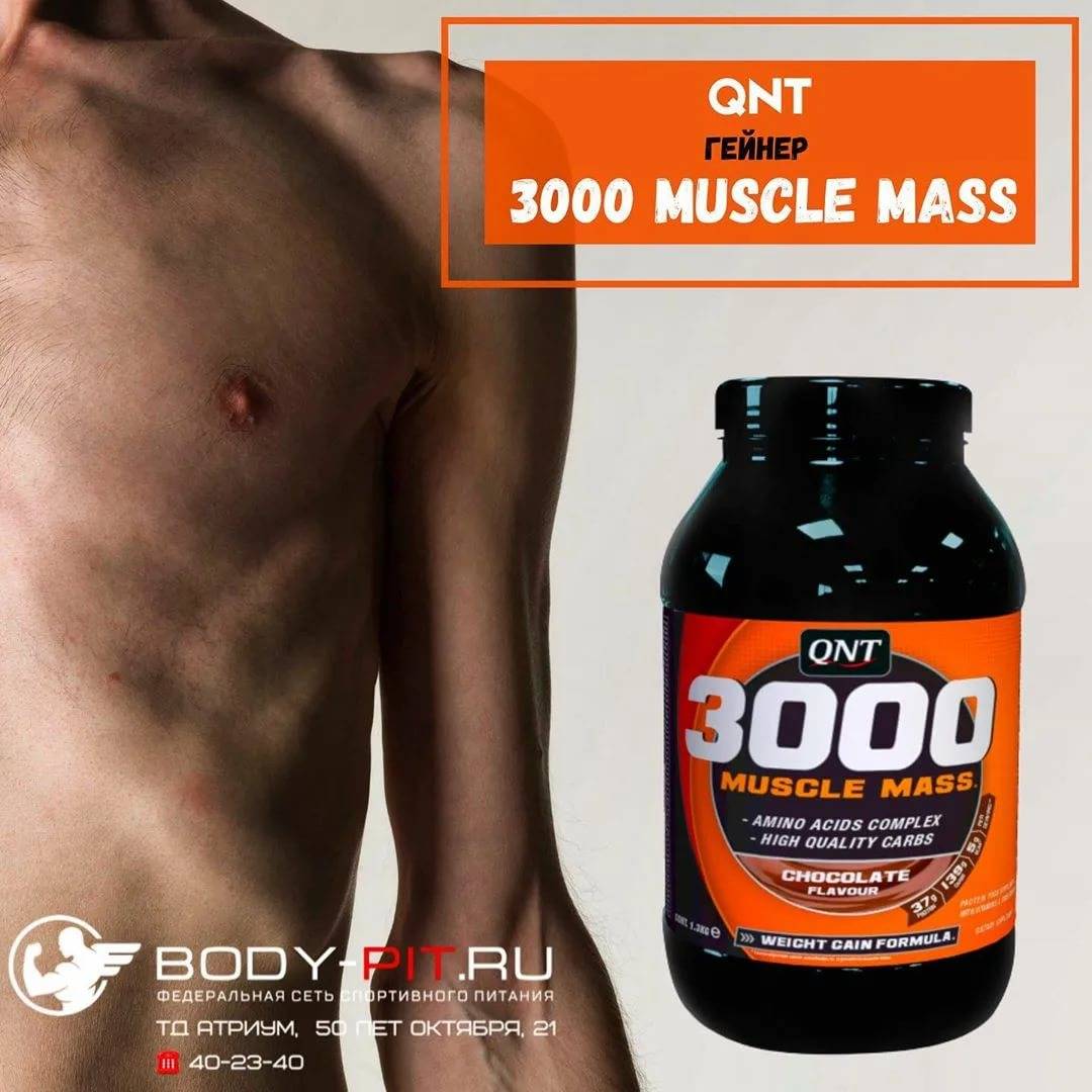Muscle mass 3000 от qnt: как принимать, состав и отзывы