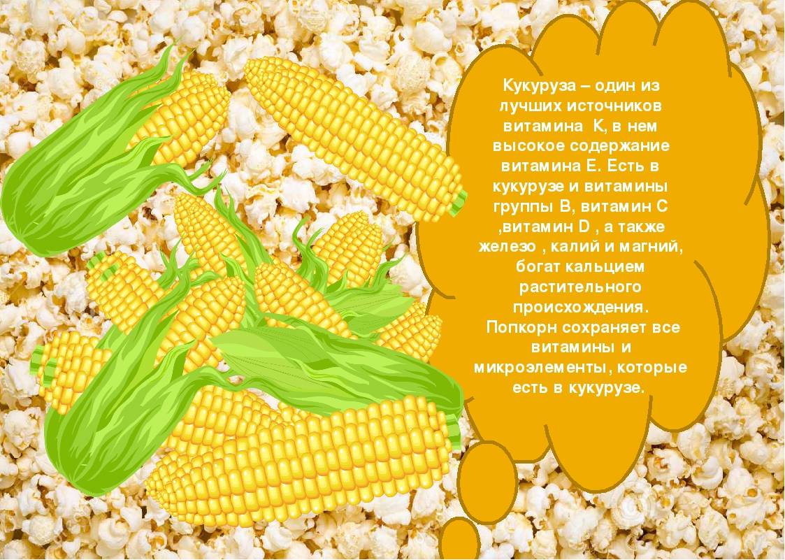 Кукуруза: польза и вред для здоровья
