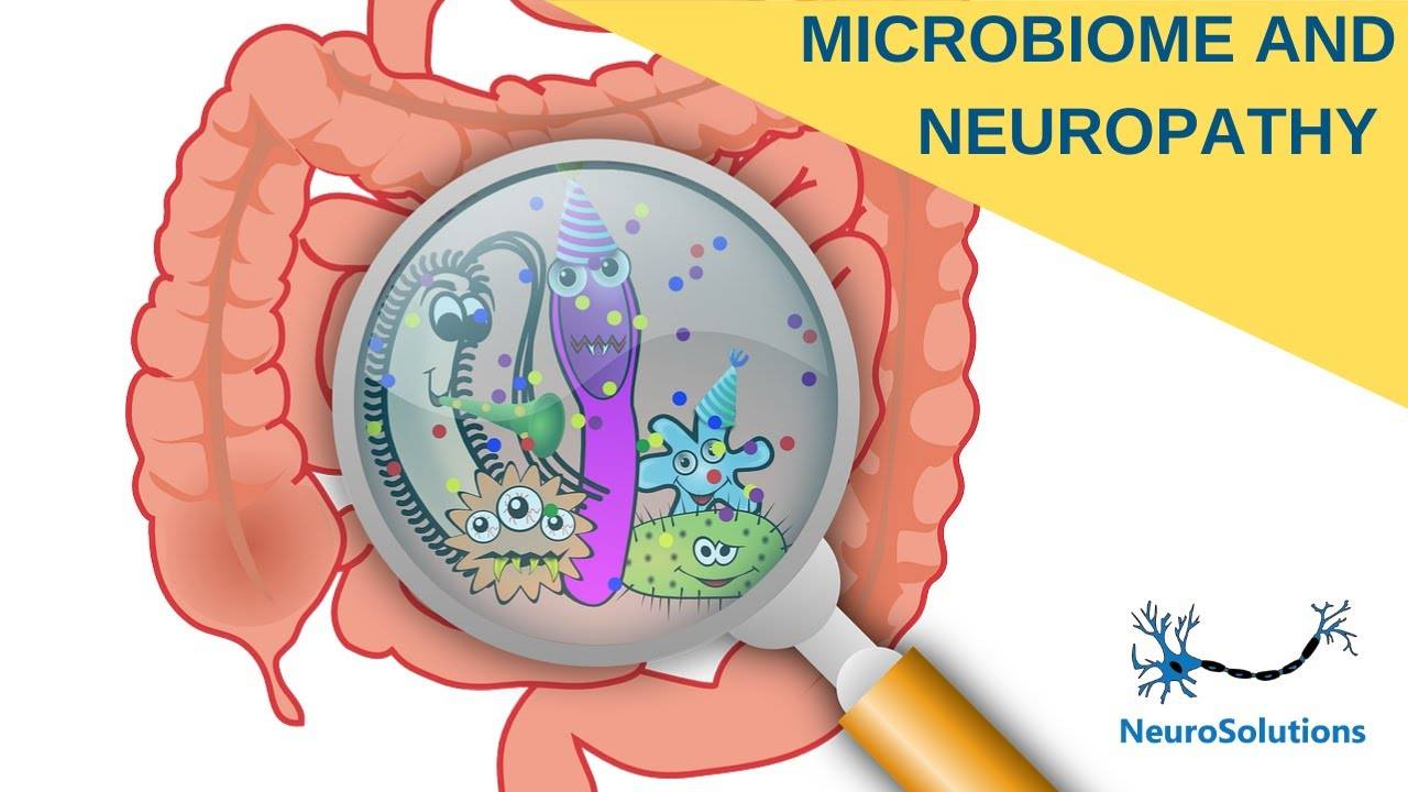 Что такое микробиом доступными словами, и зачем нам о нем знать