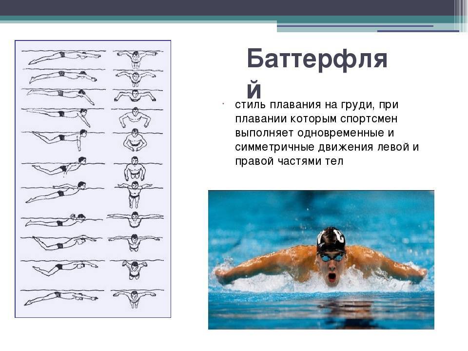 Одна из самых сложных техник плавания - баттерфляй