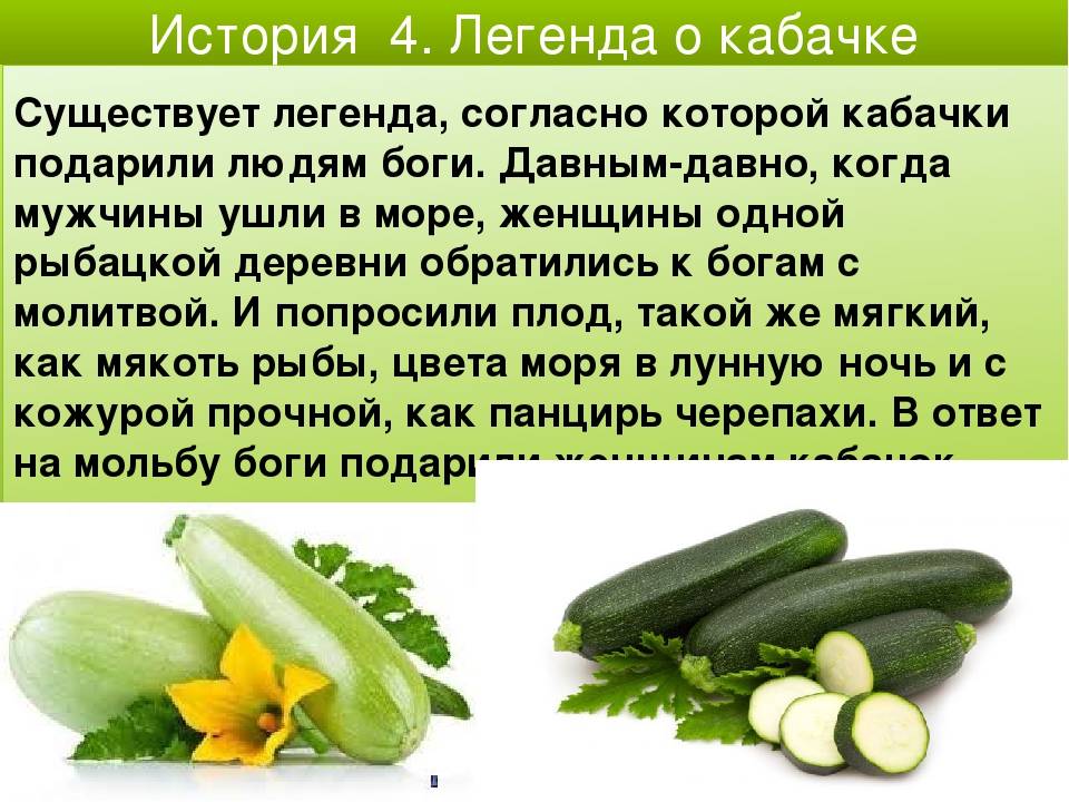 Кабачки - польза и вред для здоровья взрослого и детского организма