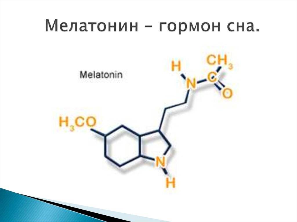 Мелатонин гормон сна