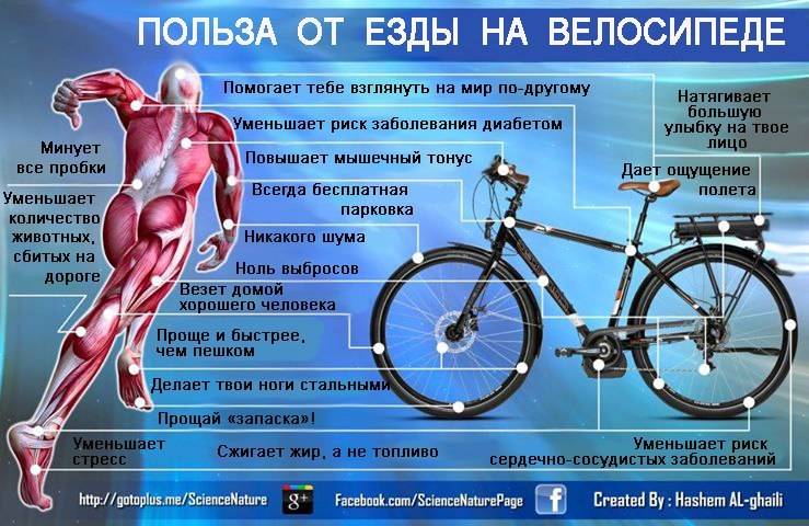 Езда на велосипеде для похудения, катание на велосипеде для похудения: польза и результаты
