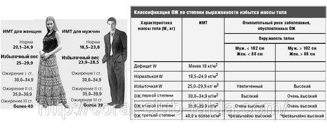 Индекс массы тела - как посчитать и расшифровать результаты - dietbest.ru