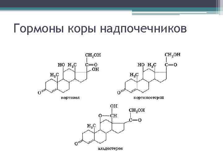 Синтез гормонов