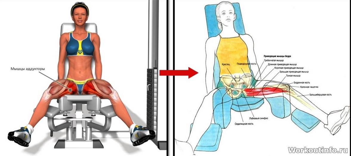 Безопасно ли разгибать колени в тренажере? | kinesiopro