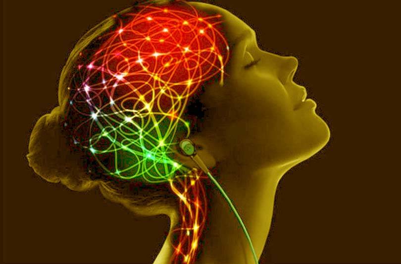 Что такое нейромышечная ментальная связь мозг-мышцы