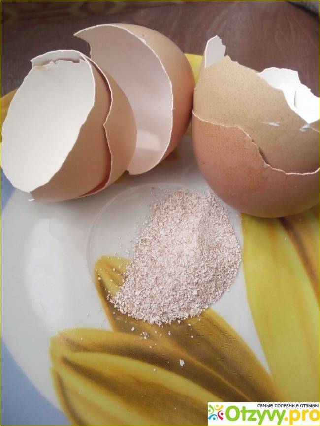 Как приготовить порошок из яичной скорлупы: источник натурального кальция