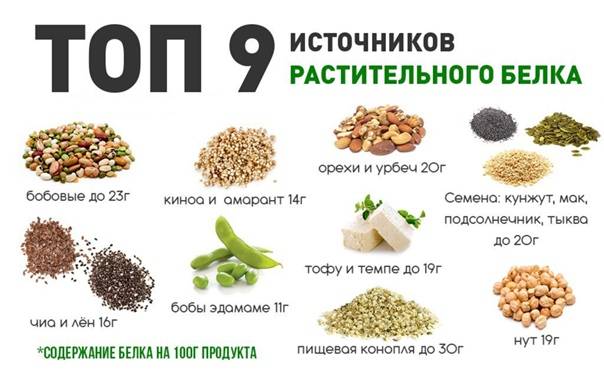 Правильное питание для вегетарианцев