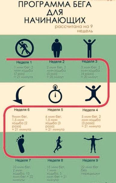 Интервальный бег — в чем польза для похудения? программа для начинающих