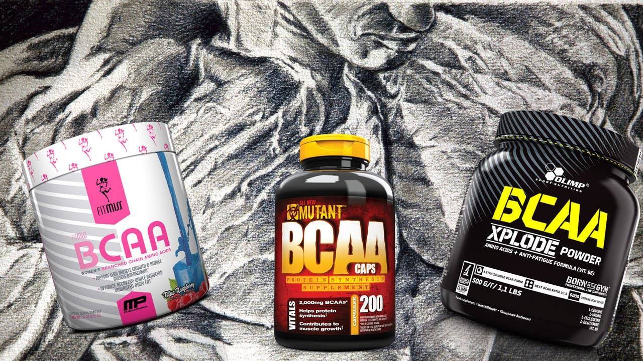 Сочетание компонентов спортивного питания: bcaa и протеин