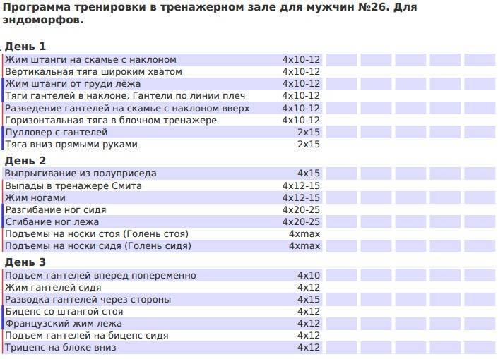 Программа тренировок на рельеф в тренажерном зале: самые эффективные упражнения - tony.ru
