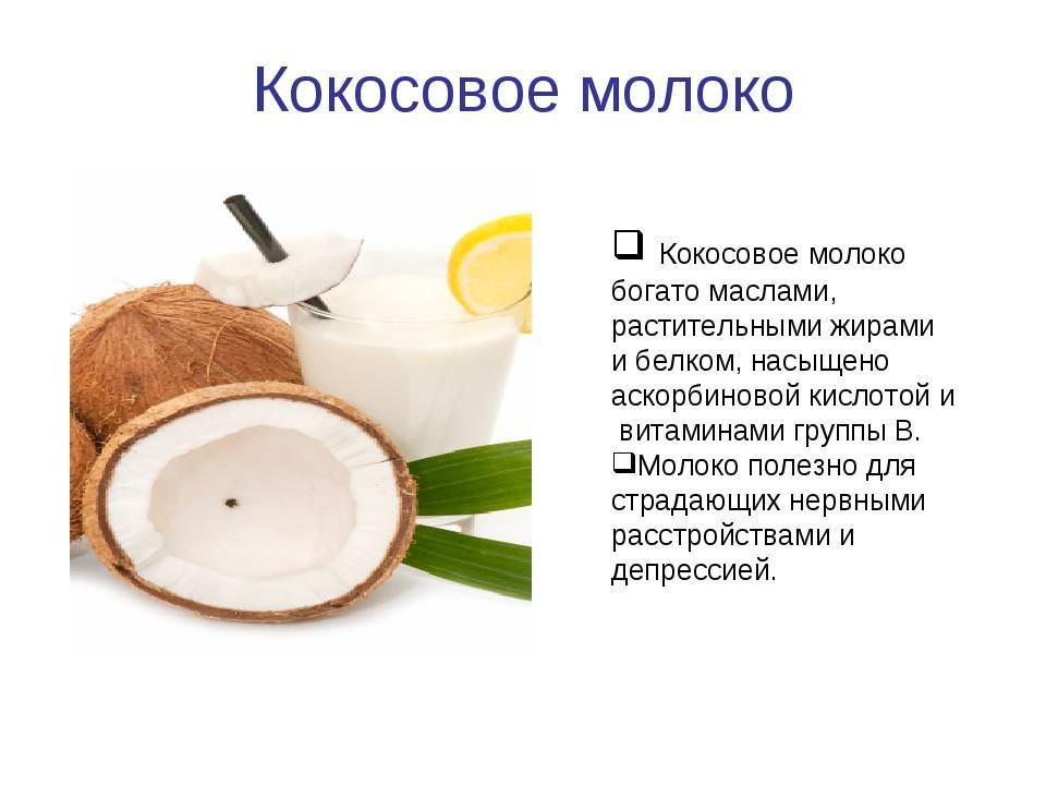 Калорийность кокоса и полезные свойства – всё об орехах