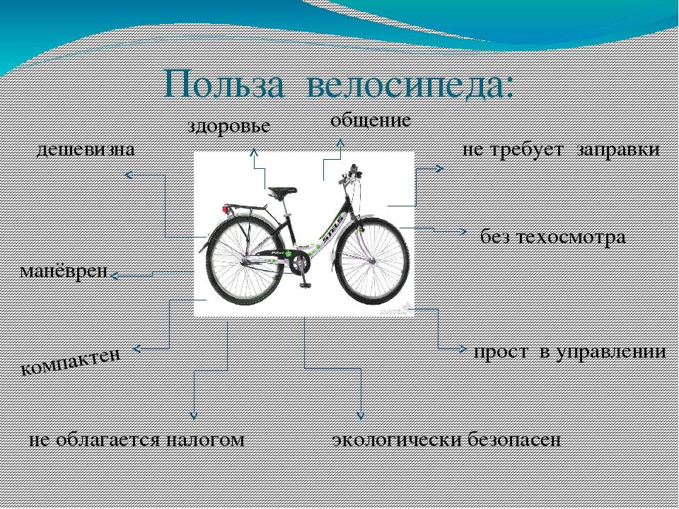Как правильно выбрать велосипед: советы новичкам