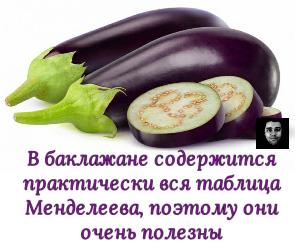 Баклажан: калорийность и полезные свойства. пищевая ценность продуктов :: syl.ru