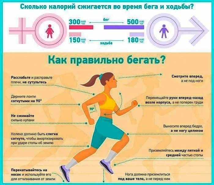 Когда лучше бегать - утром или вечером? сколько бегать по утрам? :: syl.ru