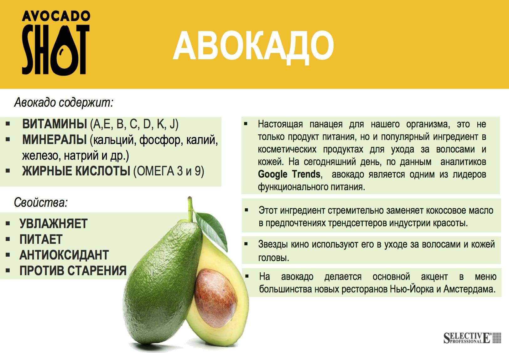 Авокадо: полезные свойства и применение в медицине и кулинарии